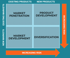 growth strategy