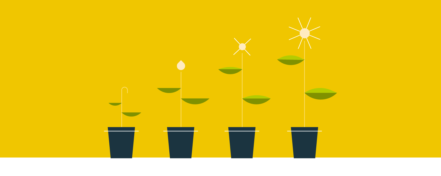 Blog_Growth