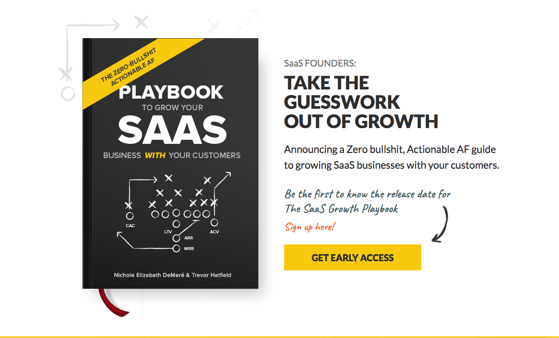 Growth channels to acquire SaaS customers - SaaS Growth Playbook by Nichole Elizabeth