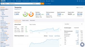 Customer Focus Tool - Ahrefs