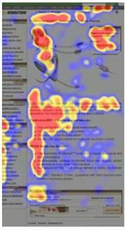 F-shaped heatmaps
