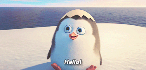 Penguin waving hello